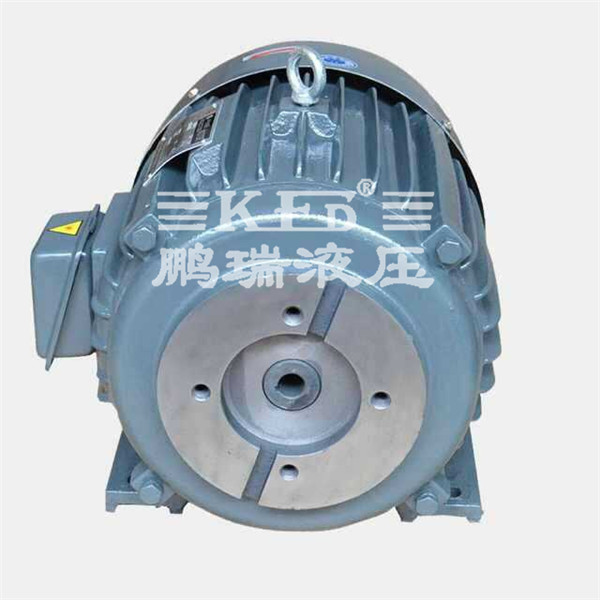 液壓系統(tǒng)專用電機(jī) 液壓系統(tǒng)專用電機(jī)