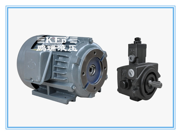 VP油泵電機組合 VP油泵電機組合