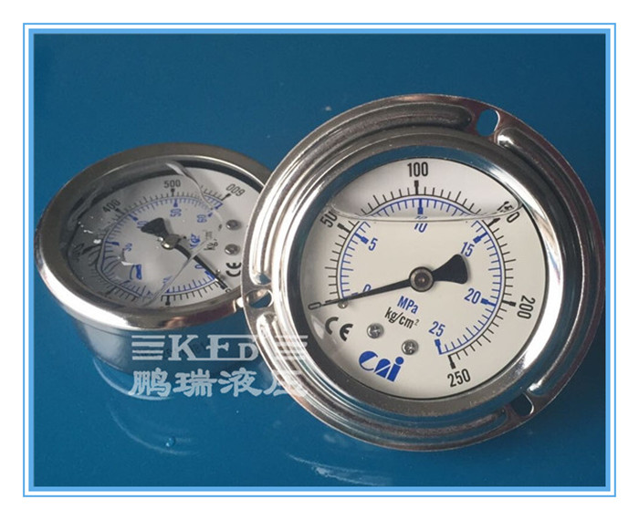 臺灣CNI壓力表 臺灣CNI壓力表